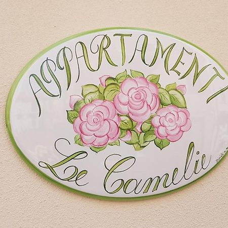 Le Camelie -Appartamenti Nuovi Porto Sant'Elpidio Exterior photo